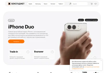 Снимок главной страницы boxgadget.ru