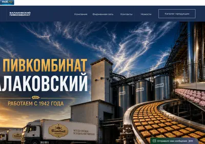 Снимок главной страницы balakovgroupp.ru