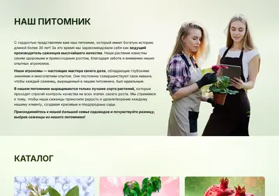 Снимок главной страницы agroluna.ru