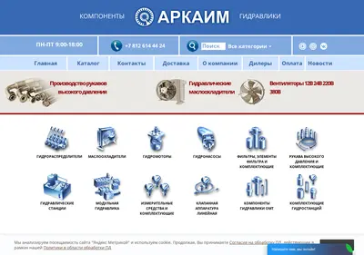 Снимок главной страницы arkaimspb.ru