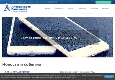 Снимок главной страницы alvk33.ru