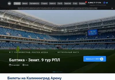 Снимок главной страницы arena-kaliningrad.ru