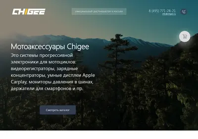 Снимок главной страницы chigee.ru