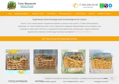 Снимок главной страницы 7ants.ru