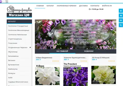 Снимок главной страницы catalogcf.ru
