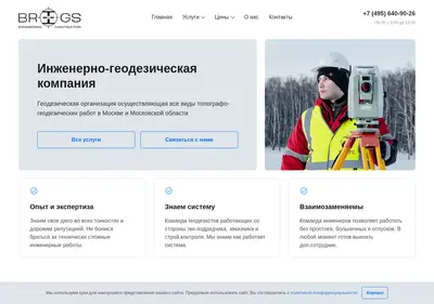 Снимок главной страницы breegs.ru