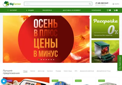 Снимок главной страницы bigfarmer.ru
