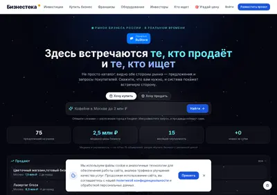 Снимок главной страницы biznesteka.ru