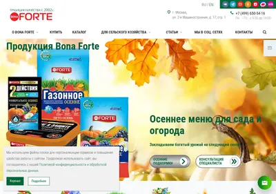 Снимок главной страницы bona-forte.ru
