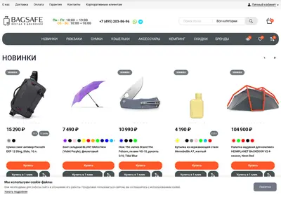 Снимок главной страницы bagsafe.ru