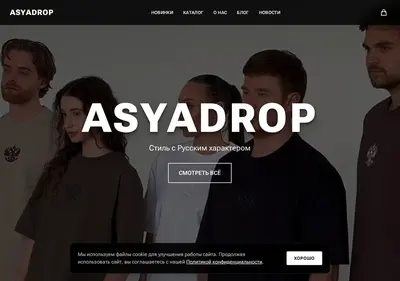 Снимок главной страницы asyadrop.ru