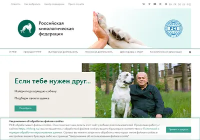 Снимок главной страницы rkf.org.ru