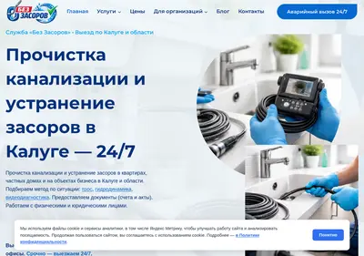 Снимок главной страницы bez-zasorov.ru
