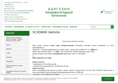 Снимок главной страницы bar213.ru