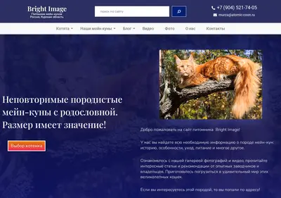 Снимок главной страницы atomic-coon.ru