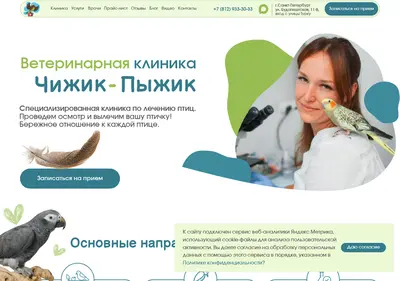 Снимок главной страницы chizhyk-vet.ru