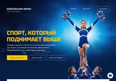 Снимок главной страницы baikalseals.ru