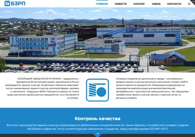 Снимок главной страницы bzrp.ru