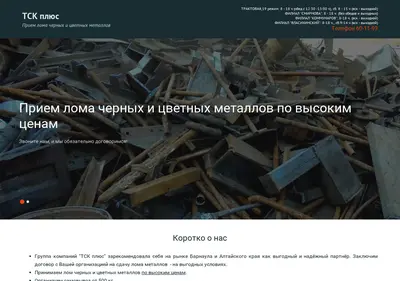 Снимок главной страницы barnaullom.ru