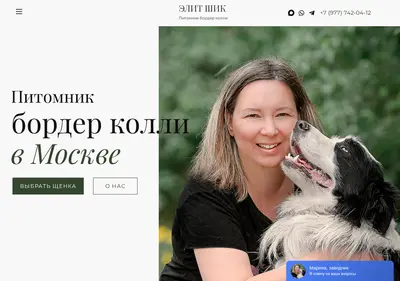 Снимок главной страницы bordercolli.ru