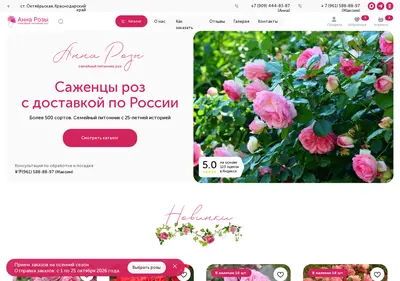 Снимок главной страницы annaroz.ru
