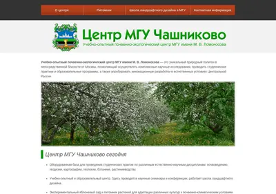 Снимок главной страницы chashnikovo-msu.ru