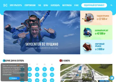 Снимок главной страницы skycenter.su