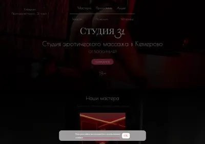 Снимок главной страницы 31studio.ru