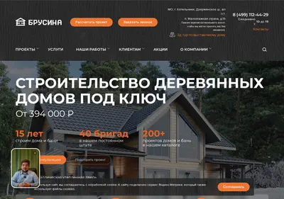 Снимок главной страницы brusina.ru