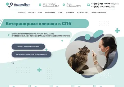 Снимок главной страницы amikavet.ru