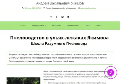 Снимок главной страницы apidomiki.ru