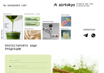 Снимок главной страницы airtokyo.ru