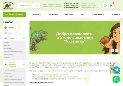 Снимок главной страницы ahatinka.ru
