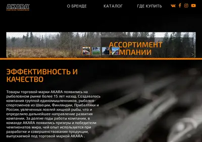 Снимок главной страницы akarafishing.ru