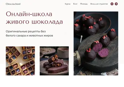 Снимок главной страницы chocoschool.ru
