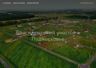 Снимок главной страницы raos.su