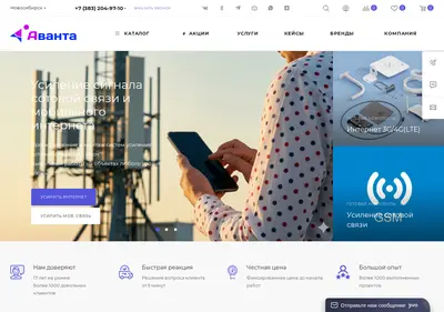 Снимок главной страницы avanta-pro.ru