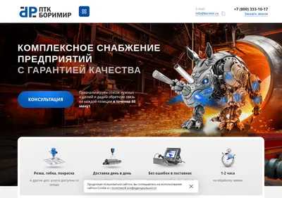 Снимок главной страницы borimir.ru