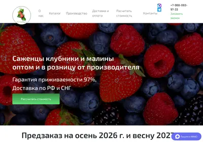 Снимок главной страницы best-seedling.ru