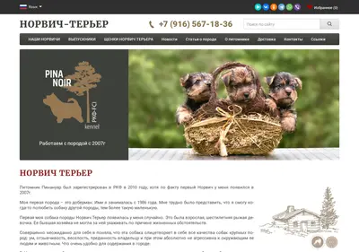 Снимок главной страницы norwich-terrier.su
