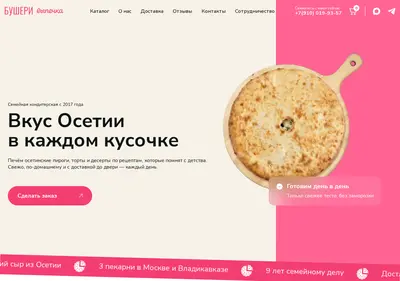 Снимок главной страницы busheri.ru