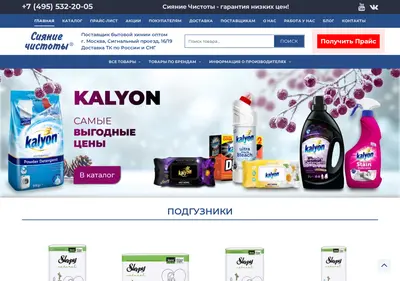 Снимок главной страницы bytovaya-himiya.ru