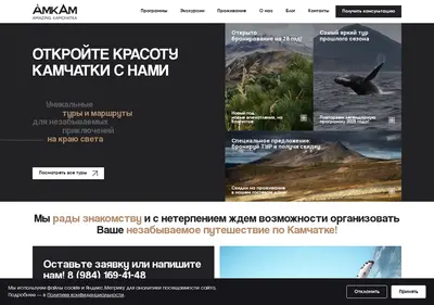 Снимок главной страницы amkam.ru