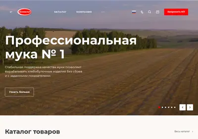 Снимок главной страницы belyaevskaya.ru