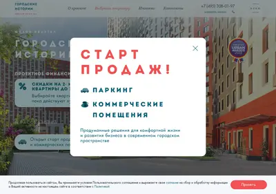 Снимок главной страницы city-story.ru