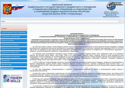 Снимок главной страницы amrv.ru