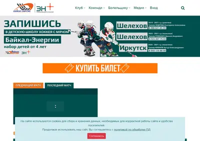 Снимок главной страницы baikal-energy.ru