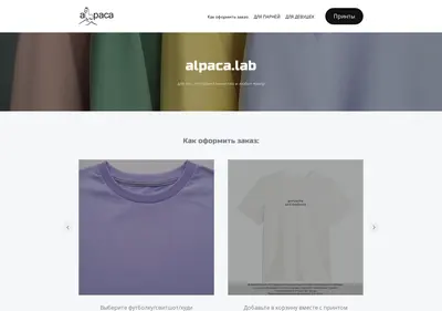 Снимок главной страницы alpacalab.ru
