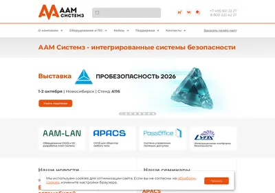 Снимок главной страницы aamsystems.ru