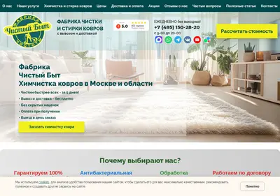 Снимок главной страницы chistyibyt.ru